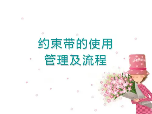 约束带的使用管理及流程教学课件PPT