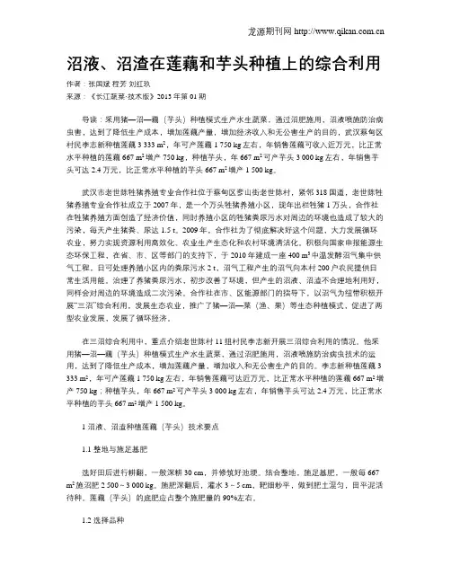 沼液、沼渣在莲藕和芋头种植上的综合利用
