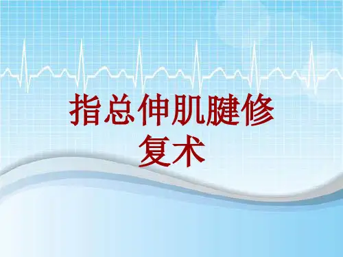 手术讲解模板：指总伸肌腱修复术