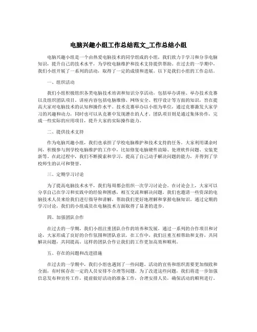 电脑兴趣小组工作总结范文_工作总结小组