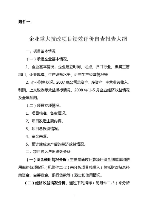 企业重大技改项目绩效评价自查报告大纲