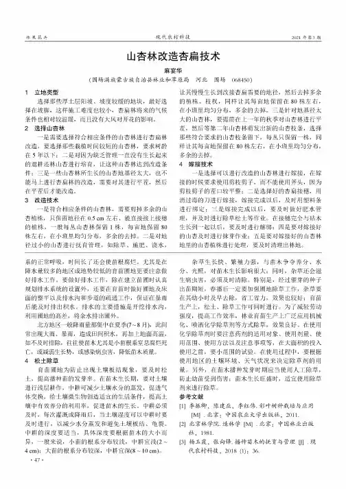 山杏林改造杏扁技术