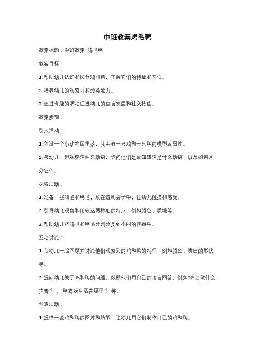 中班教案鸡毛鸭