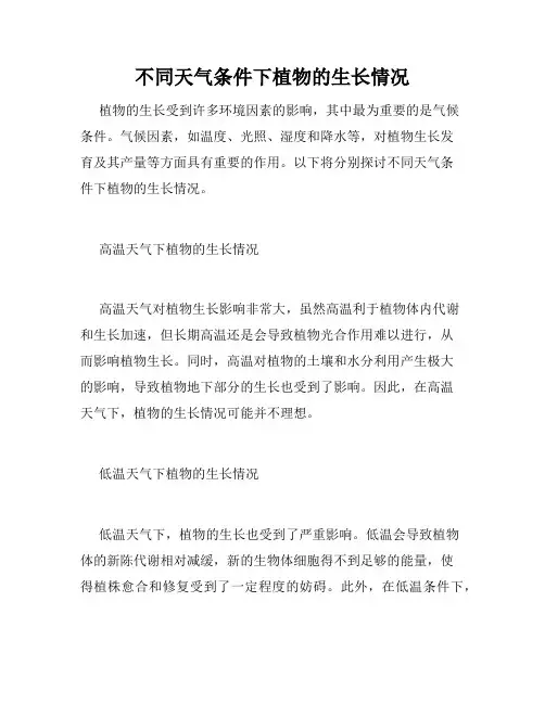 不同天气条件下植物的生长情况
