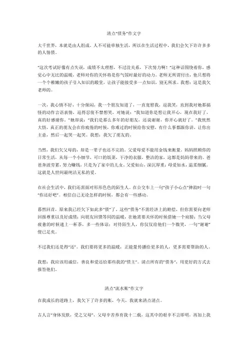 清点“流水账”作文500字