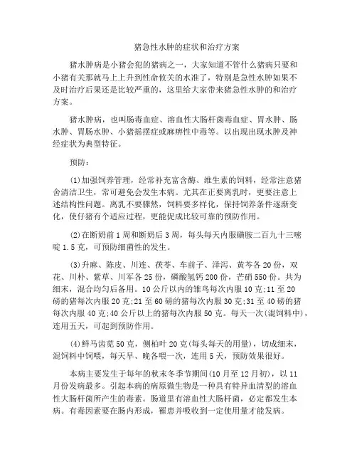 猪急性水肿的症状和治疗方案