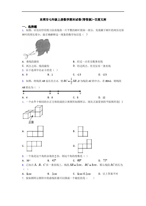 东莞市七年级上册数学期末试卷(带答案)-百度文库