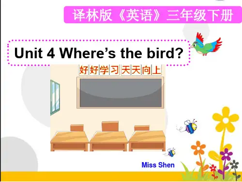 2024年江苏译林版小学英语三年级下册《Unit4Where'sthebird》课件1