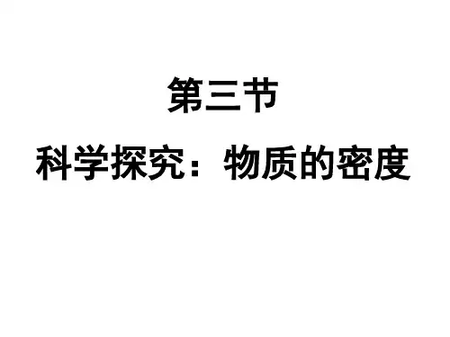 物质的密度(整理)