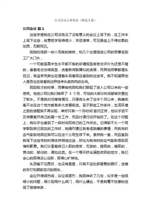 公司会议心得体会（精选3篇）