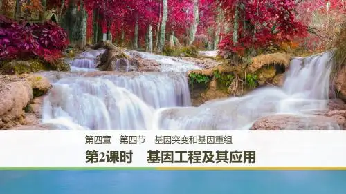 高一苏教版生物必修二课件：4.4.2 基因工程及其应用