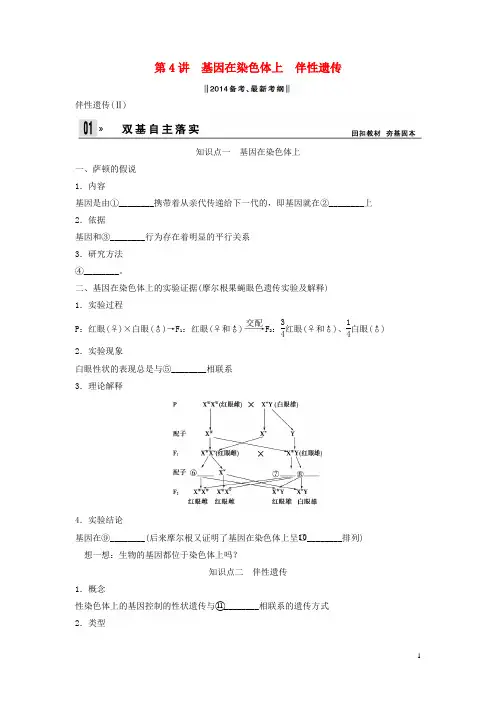 高考生物一轮复习方案 14 基因在染色体上 伴性遗传 新人教版必修2