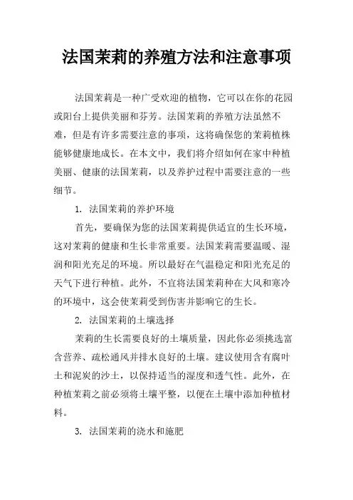 法国茉莉的养殖方法和注意事项