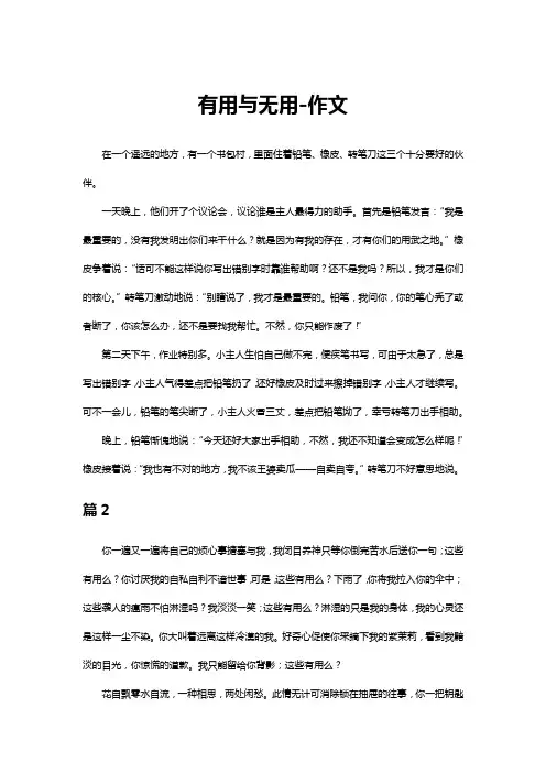 有用于无用的作文800字高中