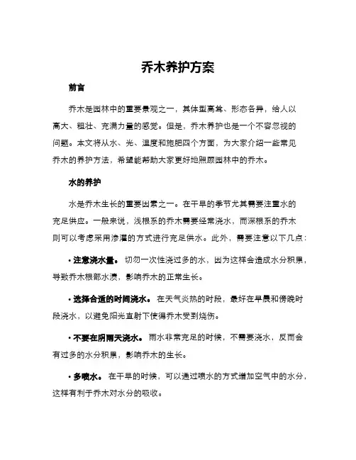 乔木养护方案