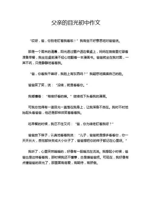 父亲的目光初中作文