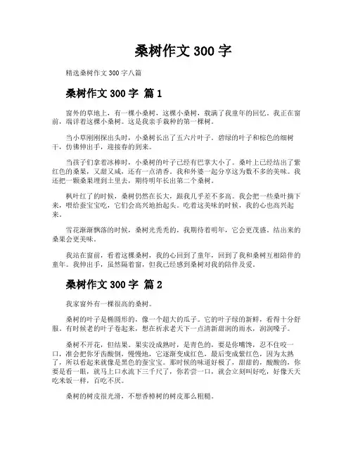 桑树作文300字 2