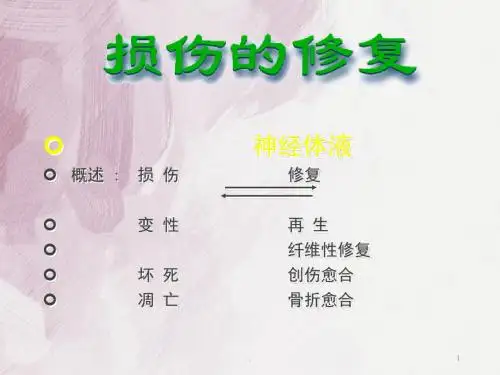 病理学损伤修复 最新ppt演示课件