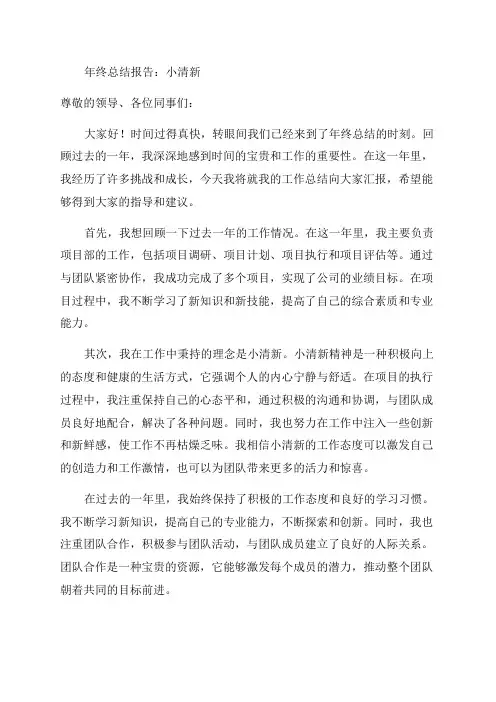 年终总结年终总结汇报报告小清新