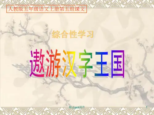 人教版五年级语文上册第五组《遨游汉字王国》1精76433ppt课件