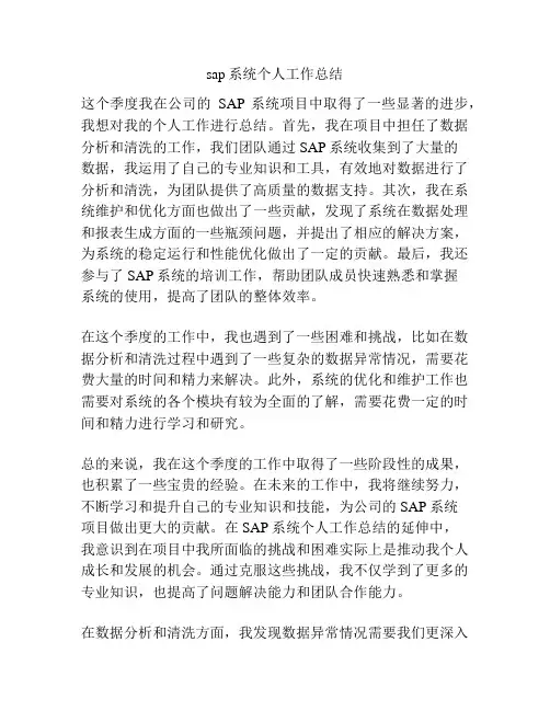 sap系统个人工作总结