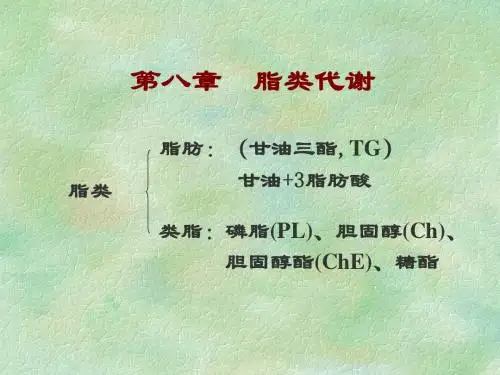 脂类代谢