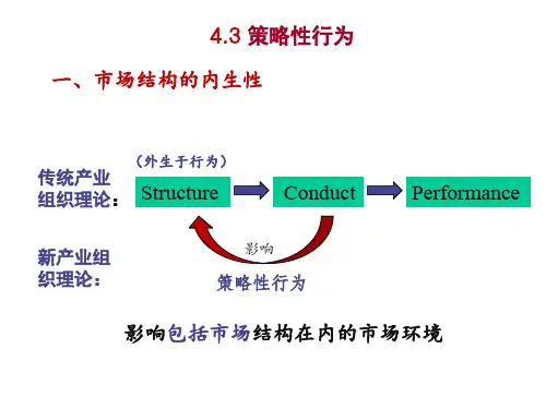 4.3 策略性行为