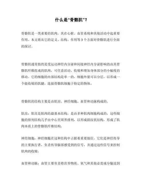 什么是“骨骼肌”？