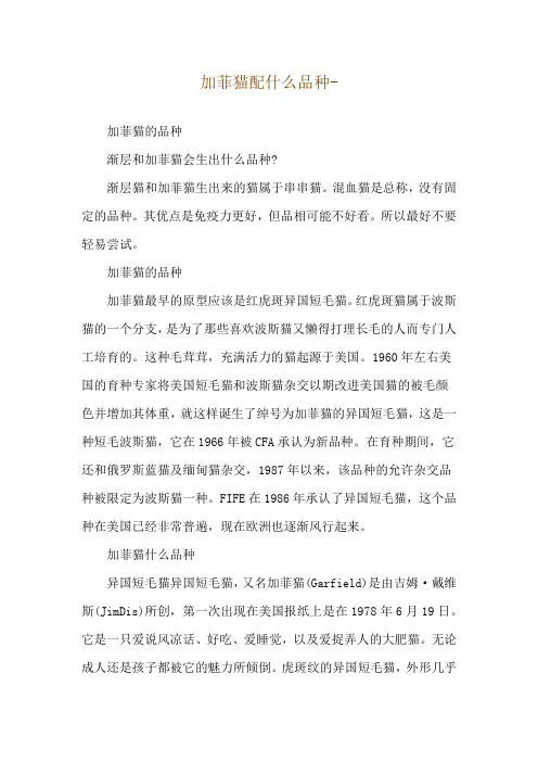 加菲猫配什么品种--加菲猫的品种