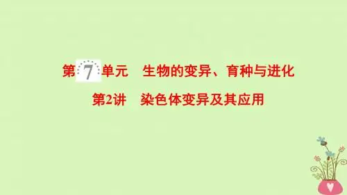 2019版高考生物一轮复习第7单元生物的变异育种与进化第2讲基因突变和基因重组课件苏教版