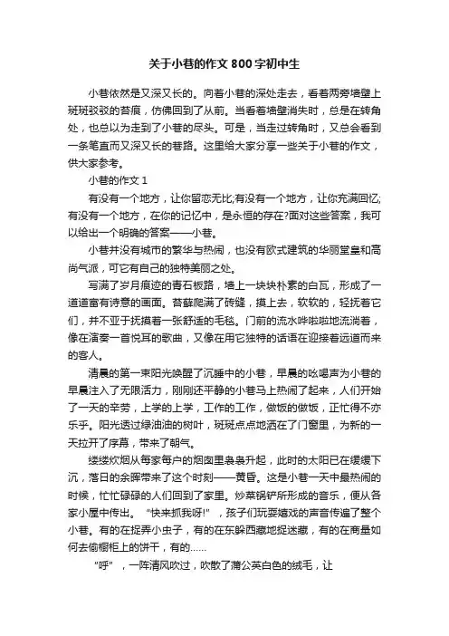 关于小巷的作文800字初中生