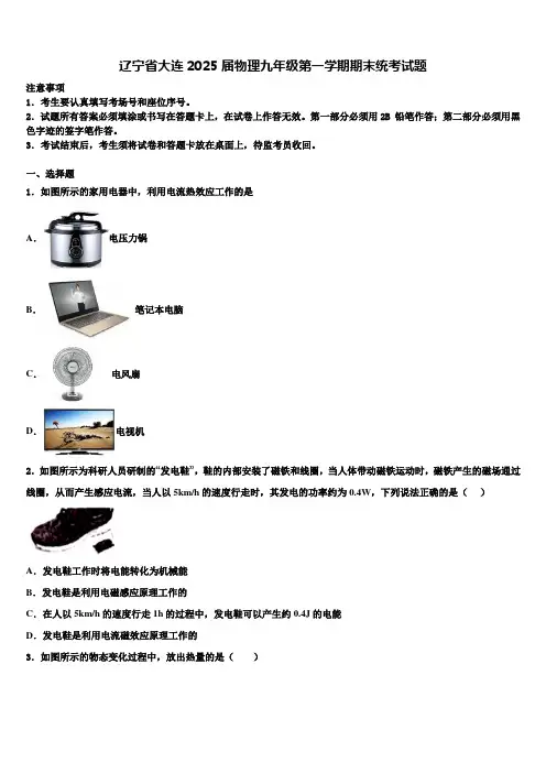 辽宁省大连2025届物理九年级第一学期期末统考试题含解析