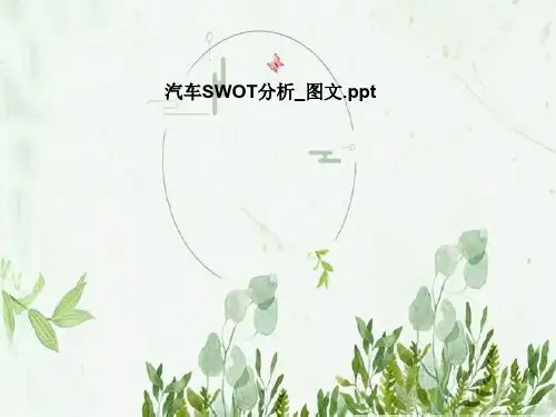 汽车SWOT分析_图文