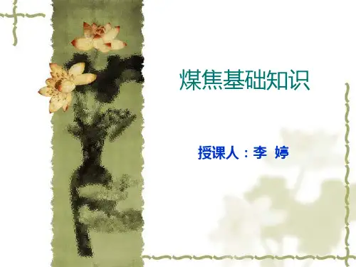 炼焦煤基础知识