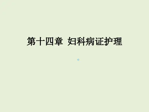 月经病证ppt课件