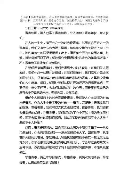 初三青年节作文800字范例【五篇】