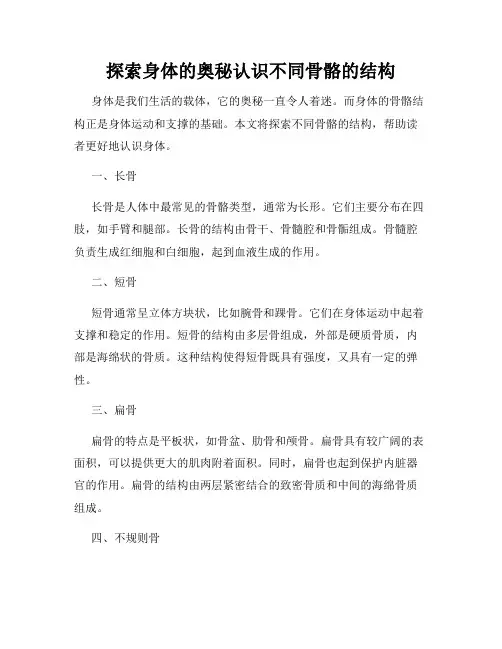 探索身体的奥秘认识不同骨骼的结构