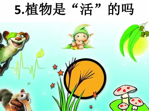 教科版一年级科学上册《植物是“活”的吗》精品课件