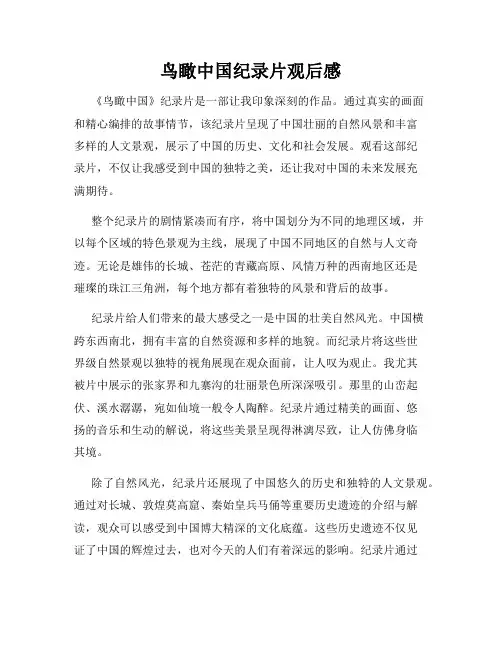 鸟瞰中国纪录片观后感