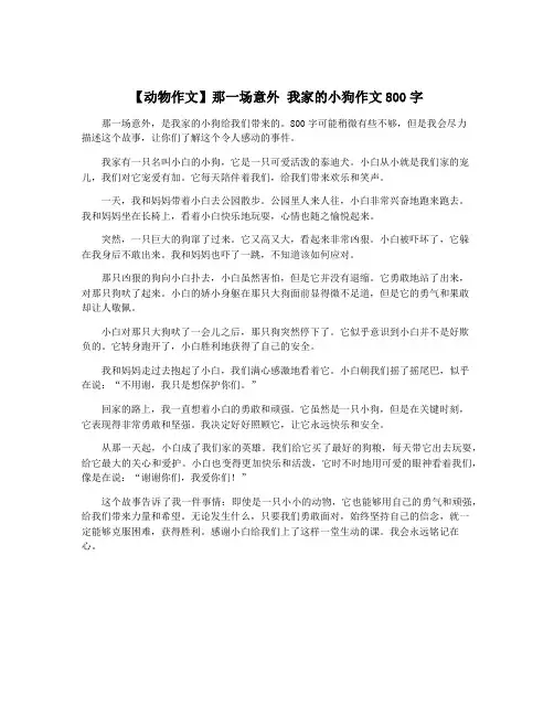 【动物作文】那一场意外 我家的小狗作文800字