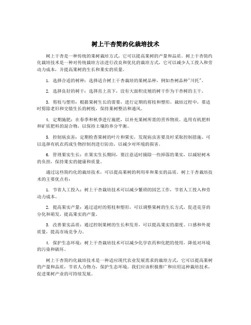 树上干杏简约化栽培技术