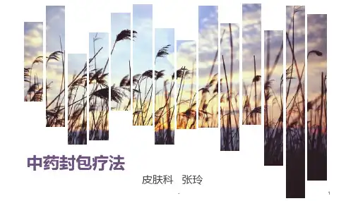 中药封包治疗PPT课件