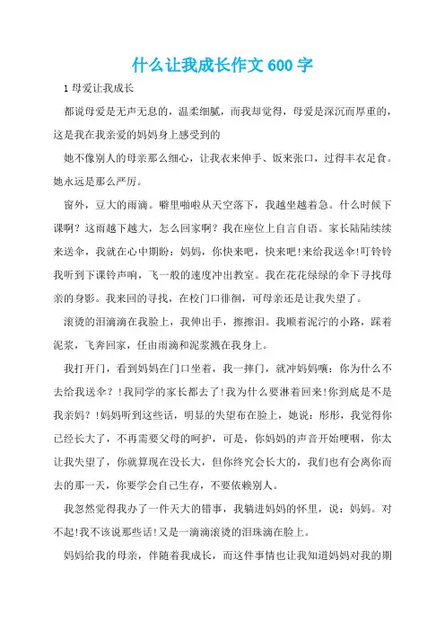 什么让我成长作文600字