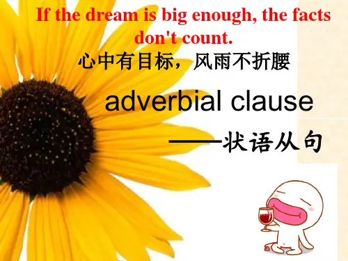 状语从句讲解(共42张PPT)