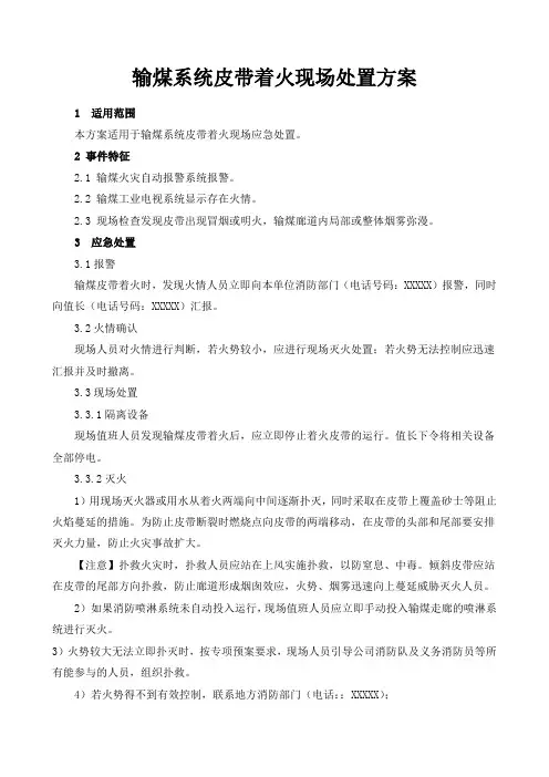 输煤系统皮带着火现场处置方案