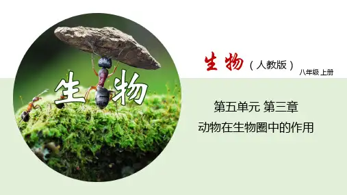 5.3 动物在生物圈中的作用(课件)八年级生物上册(人教版)