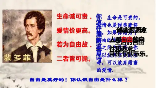 人教部编版八年级《道德与法治》下7.1自由平等的真谛(25ppt)