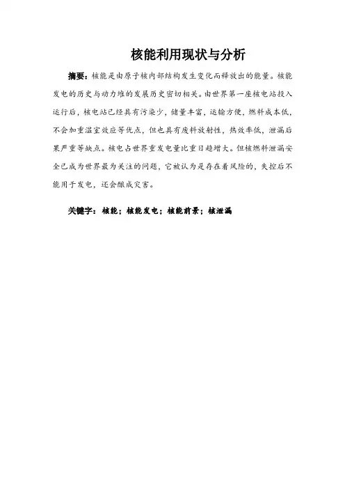 核能论文