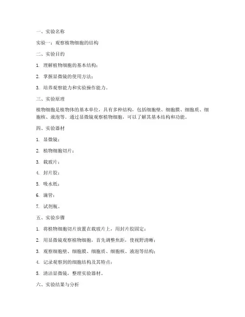 小学实验实验报告单