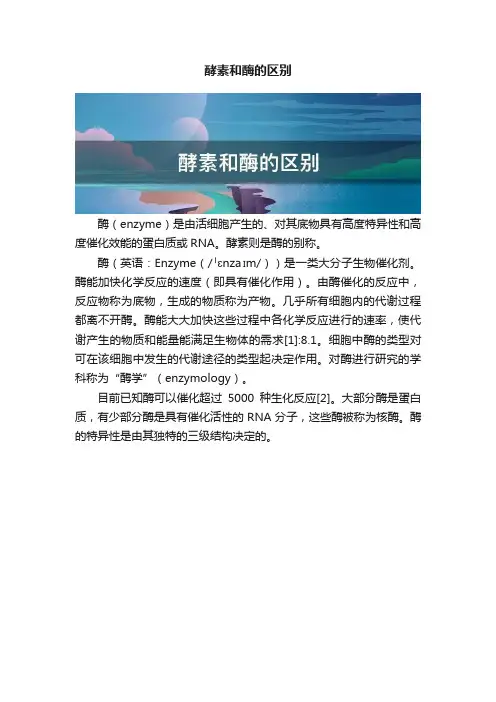 酵素和酶的区别